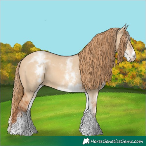 Horse Color:White Spotted Red Dun
