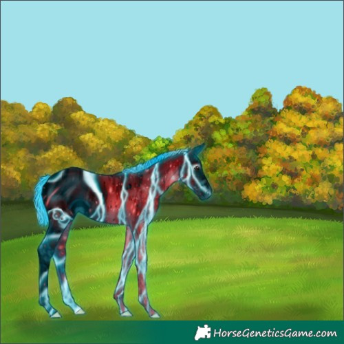 Horse Color:ERROR: UNKNOWN ANOMALY