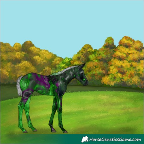 Horse Color:ERROR: UNKNOWN ANOMALY