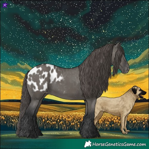 Horse Color:Grullo Appaloosa 