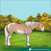 Horse Color:Silver Bay Dun Sabino Tobiano Frame Rabicano