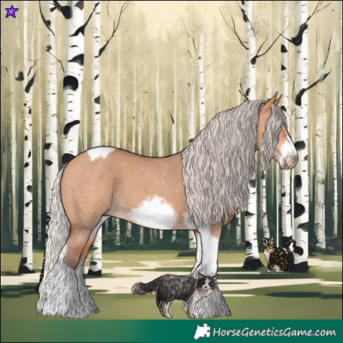 Horse Color:Silver Bay Dun Sabino Tobiano Frame Rabicano 