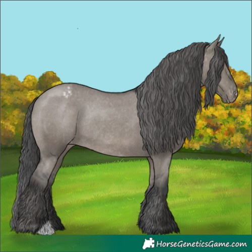 Horse Color:Grullo Varnish Rabicano 