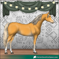 Horse Color:Palomino 