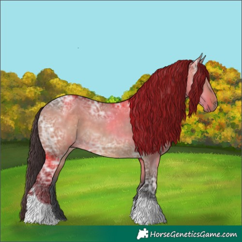 Horse Color:Bay Ice Dun Tobiano