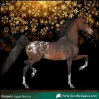 Horse Color:Brown Rabicano  and Brown Blanket Rabicano 