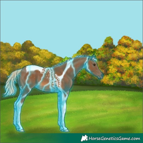 Horse Color:Thunderstruck Chocolate Palomino Tobiano 