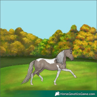 Horse Color:Silver Smoky Grullo Tobiano 