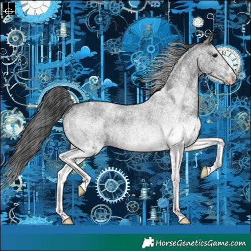 Horse Color:White Spotted Blue Roan