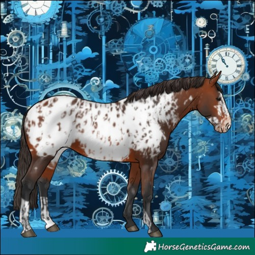 Horse Color:Bay Near Leopard  and Bay Frame Near Leopard 