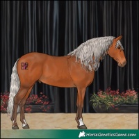 Horse Color:Silver Bay 