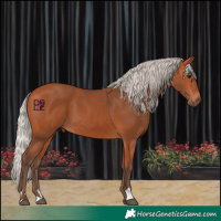 Horse Color:Silver Bay 