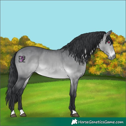 Horse Color:Brown Chinchilla 