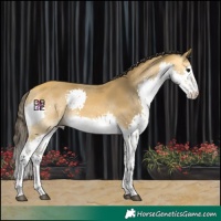 Horse Color:Buckskin Splash Tobiano 