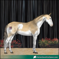 Horse Color:Buckskin Splash Tobiano