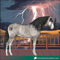 Horse Color:Grullo Ice Onyx 