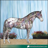 Horse Color:Nacre Liver Chestnut Sabino Blanket