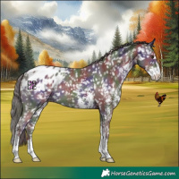 Horse Color:Nacre Liver Chestnut Sabino Blanket 