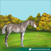 Horse Color:White Spotted Silver Brown Dun Mushroom 