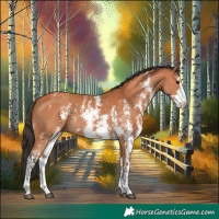 Horse Color:Bay Sabino