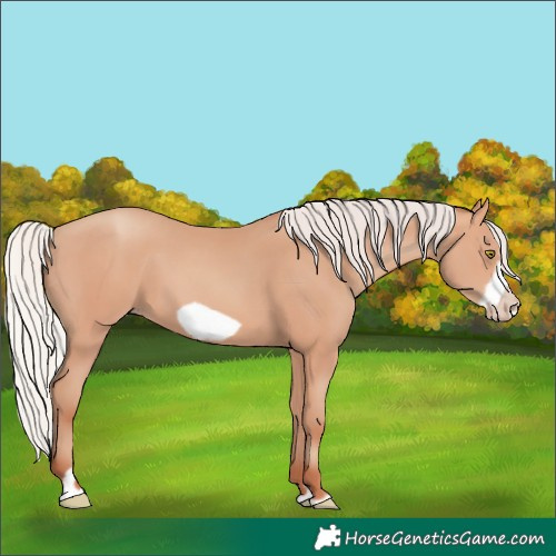 Horse Color:Silver Amber Champagne Frame 