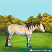 Horse Color:Powder White Buckskin Ice Onyx Rabicano 