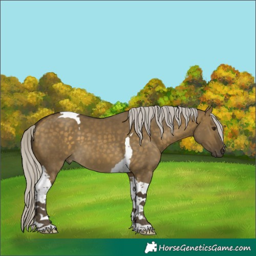 Horse Color:Silver Buckskin Dun Tobiano 