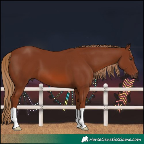 Horse Color:Chestnut 