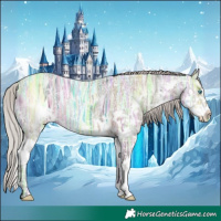 Horse Color:Silver Brown Ice Dun Sabino Splash