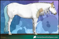 Horse Color:Watercolor Buckskin Tobiano Frame 