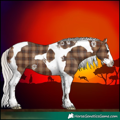 Horse Color:Plaid  Silver Brown Splash Tobiano Rabicano 