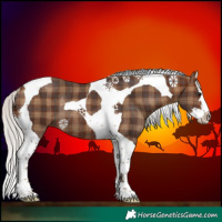 Horse Color:Plaid Silver Brown Splash Tobiano Rabicano