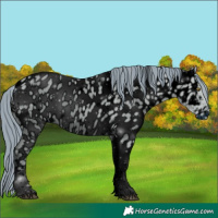 Horse Color:ERROR: UNKNOWN ANOMALY