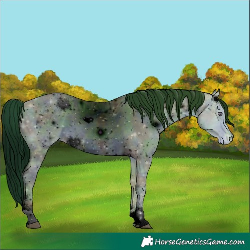 Horse Color:ERROR: UNKNOWN ANOMALY