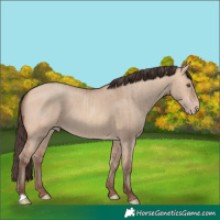 Horse Color:Amber Champagne Dun Brindle