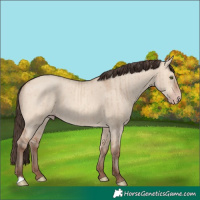Horse Color:Amber Champagne Dun Brindle