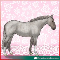 Horse Color:Silver Grullo Roan
