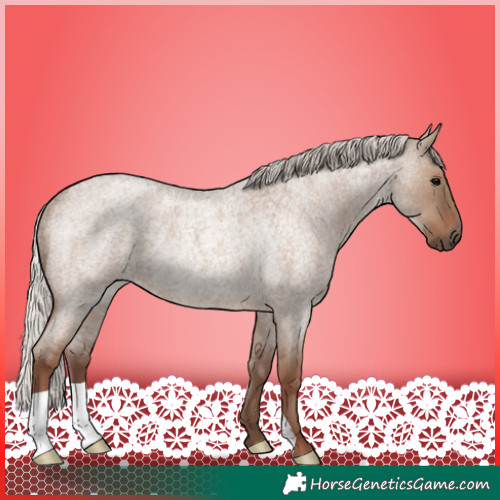 Horse Color:Silver Grullo Roan Rabicano 