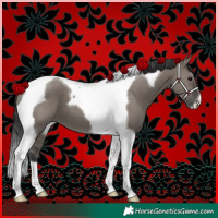 Horse Color:Grullo Tobiano