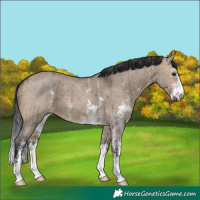 Horse Color:Brown Dun Sabino Brindle 