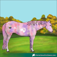 Horse Color:Nacre Watercolor White Spotted Smoky Black