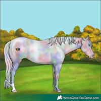 Horse Color:Nacre Watercolor Silver Buckskin Pearl 