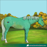Horse Color:Watercolor Silver Buckskin