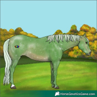 Horse Color:Watercolor Silver Buckskin 
