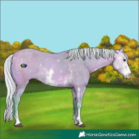 Horse Color:Watercolor Silver Buckskin Sabino