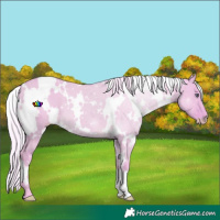 Horse Color:Watercolor White Spotted Silver Perlino Chinchilla Dun
