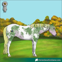 Horse Color:Painted Watercolor White Spotted Silver Smoky Black Chinchilla Tobiano 