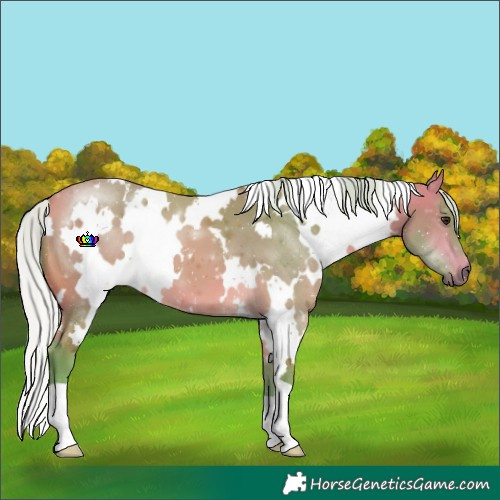 Horse Color:Watercolor White Spotted Silver Buckskin 