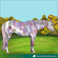 Horse Color:Nacre Watercolor White Spotted Silver Buckskin Dun