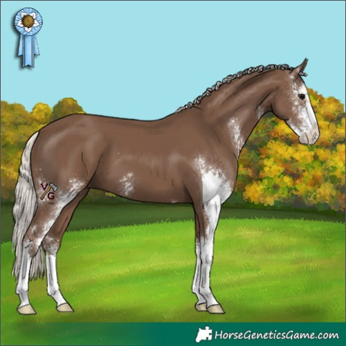 Horse Color:Silver Black Sabino 